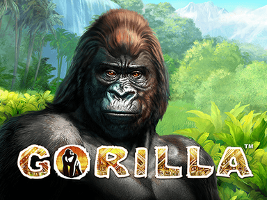 gorilla_Horizontal.png