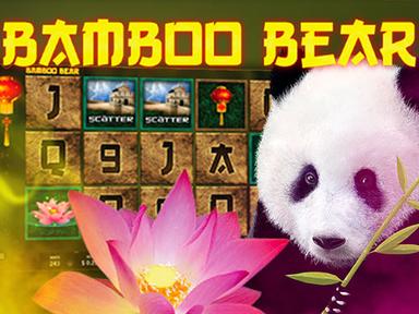 mscgbamboobear_Horizontal.jpg